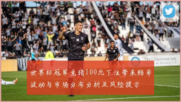世界杯冠军竞猜100元下注带来赔率波动与市场分布分析及风险提示